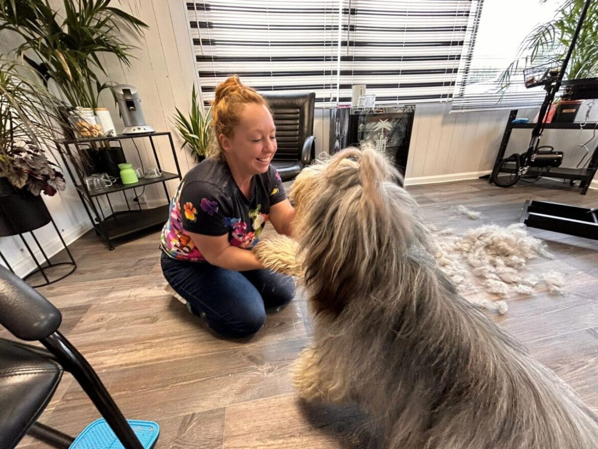 Hundesalon in Georgsmarienhütte