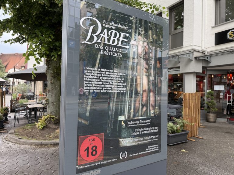 Adbusting von DIES IRAE in Osnabrück