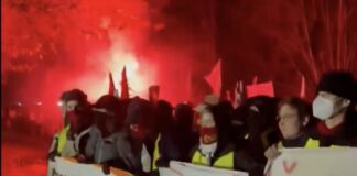 Linke Demonstrierende in Gießen (30.11.2025)