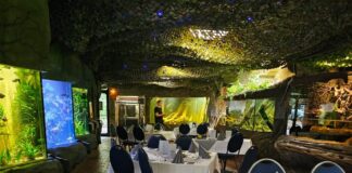 Dinner im Aquarium / Foto: Fiedler