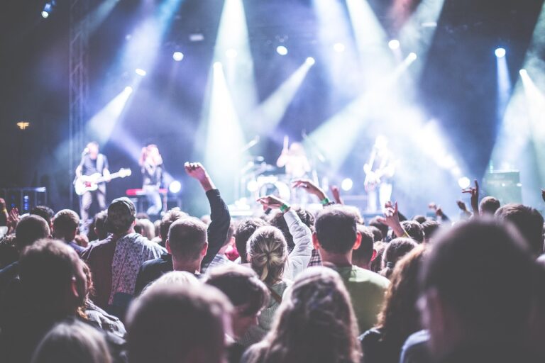 Publikum bei einem Konzert