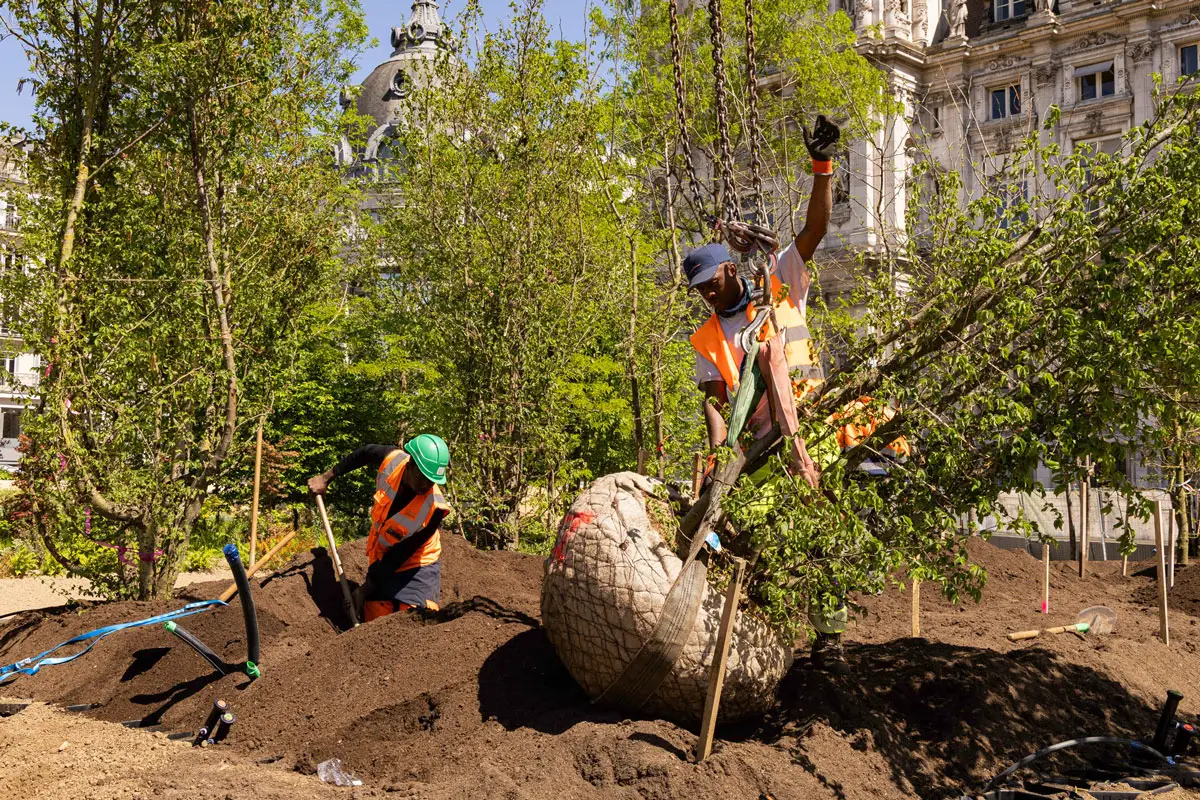 Erst im vergangenen Oktober wurden die Pläne veröffentlicht, im Frühjahr wurden die Bäume gepflanzt