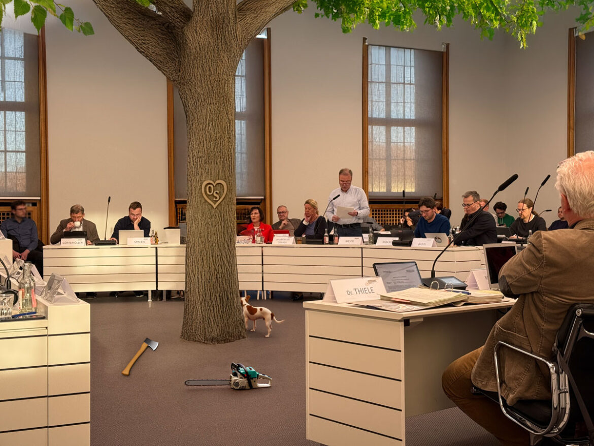 Stadtrat diskutiert über Baumschutzsatzung