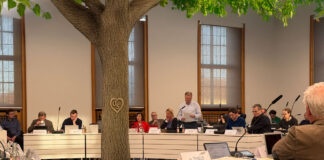 Stadtrat diskutiert über Baumschutzsatzung