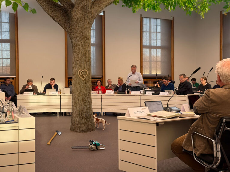 Stadtrat diskutiert über Baumschutzsatzung