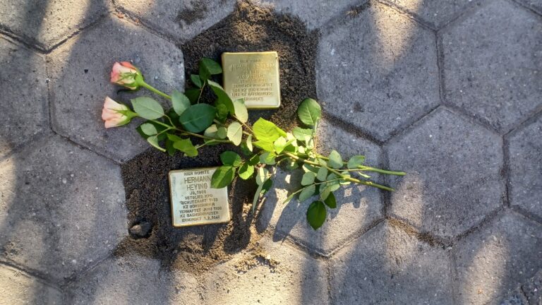 Stolpersteine von Johann Bender und Herrmann Bernhard Heying / Foto: Maximilian Kahle