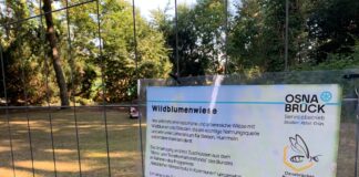 Beschilderung der Wildblumenwiese, Foto OSB, Benedikt Kohn