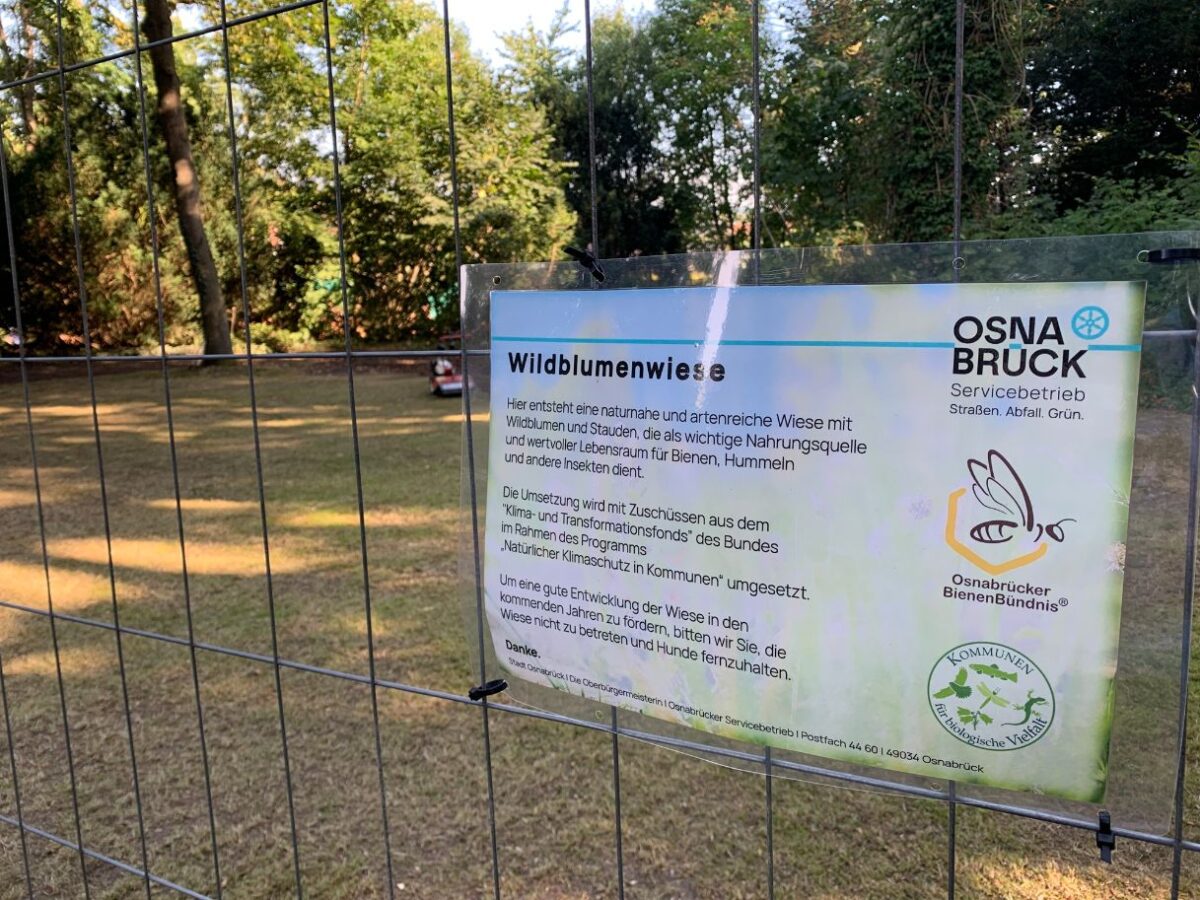 Beschilderung der Wildblumenwiese, Foto OSB, Benedikt Kohn