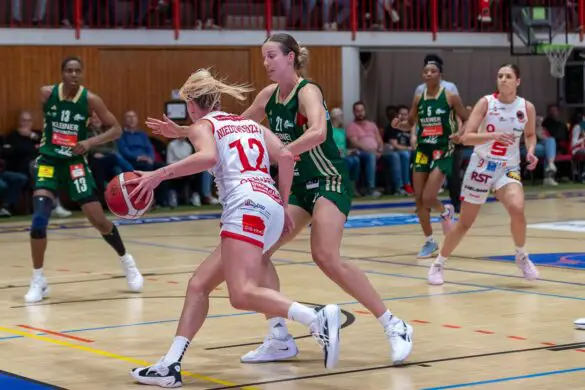 GiroLive-Panthers Osnabrück vs. Rutronik Stars Keltern / Foto: Alexander Reinhard