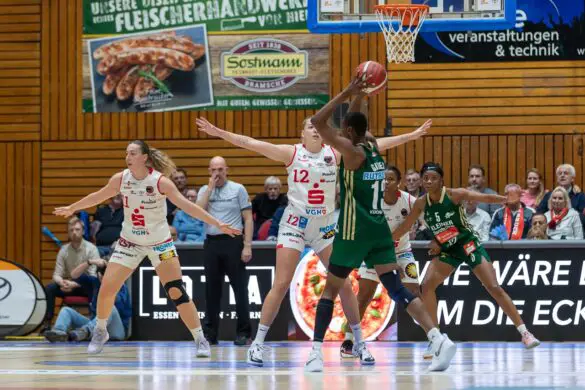 GiroLive-Panthers Osnabrück vs. Rutronik Stars Keltern / Foto: Alexander Reinhard