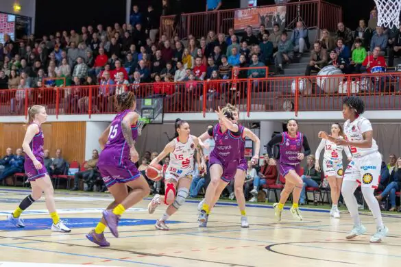 GiroLive-Panthers Osnabrück - Medical Instinct Veilchen BG74 / Foto: Alexander Reinhard