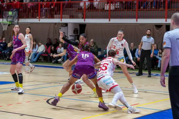 GiroLive-Panthers Osnabrück - Medical Instinct Veilchen BG74 / Foto: Alexander Reinhard