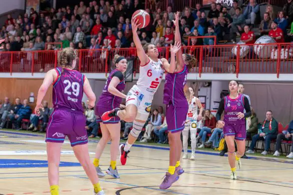 GiroLive-Panthers Osnabrück - Medical Instinct Veilchen BG74 / Foto: Alexander Reinhard