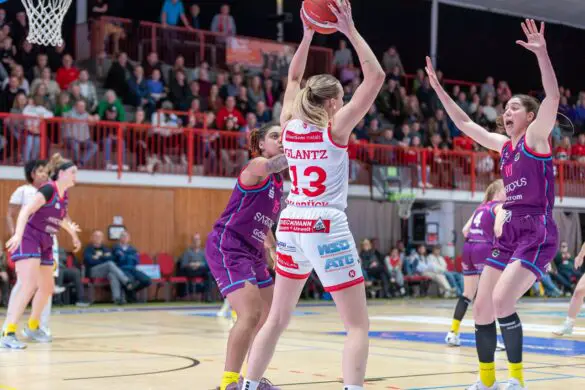 GiroLive-Panthers Osnabrück - Medical Instinct Veilchen BG74 / Foto: Alexander Reinhard