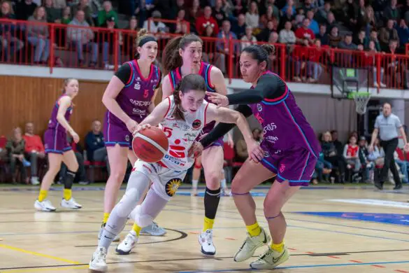 GiroLive-Panthers Osnabrück - Medical Instinct Veilchen BG74 / Foto: Alexander Reinhard