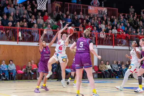 GiroLive-Panthers Osnabrück - Medical Instinct Veilchen BG74 / Foto: Alexander Reinhard