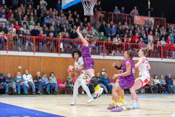 GiroLive-Panthers Osnabrück - Medical Instinct Veilchen BG74 / Foto: Alexander Reinhard