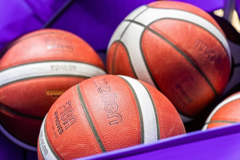 Basketball, GiroLive-Panthers Osnabrück