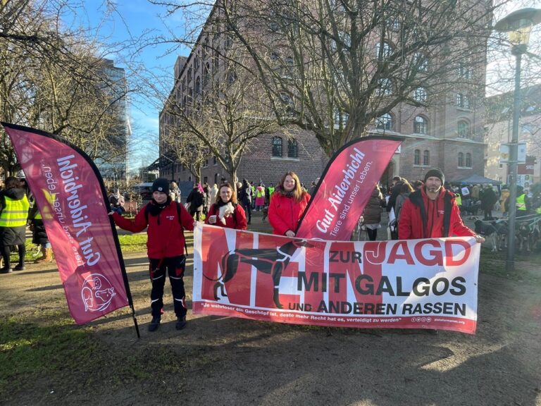 Galgo-Marsch / Foto: Gut Aiderbichl