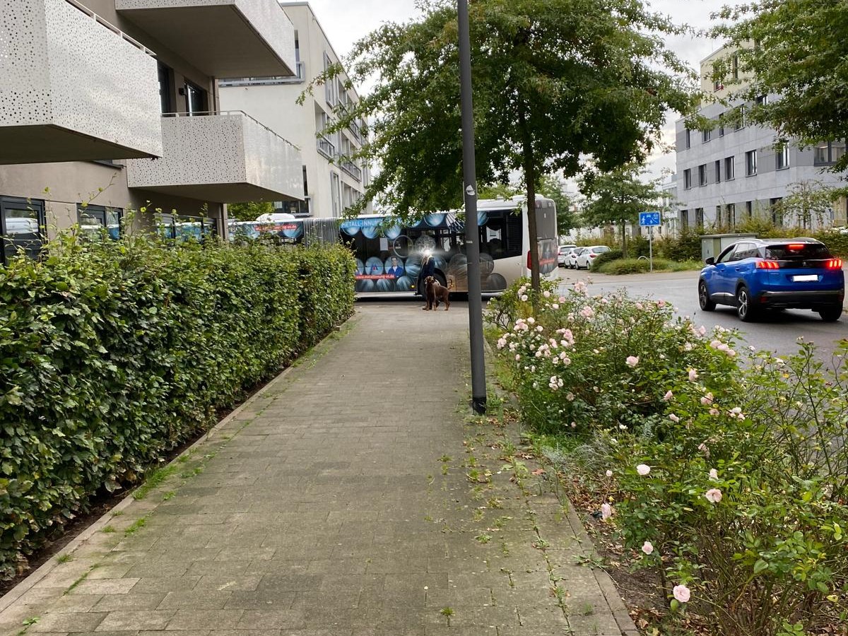 Auch am 7. Oktober 2024 hatte sich ein Bus wieder verfahren und steckte fest. / Foto: Lapp