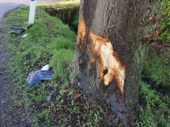 Unfall in Melle: Auto prallt gegen Baum und landet in Graben. / Foto: Heiko Westermann Unfall in Melle: Auto prallt gegen Baum und landet in Graben