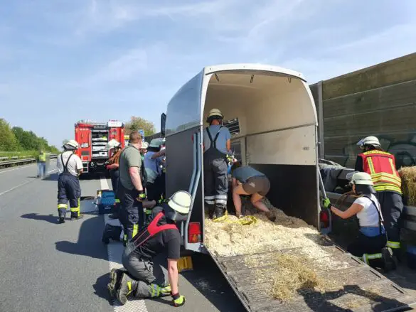 Tierrettung auf A30: Feuerwehr befreit Pferd aus Anhänger, Verkehrsteilnehmer verhalten sich respekt- und rücksichtslos