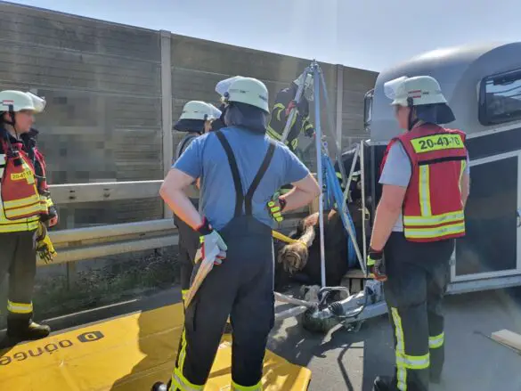 Tierrettung auf A30: Feuerwehr befreit Pferd aus Anhänger, Verkehrsteilnehmer verhalten sich respekt- und rücksichtslos