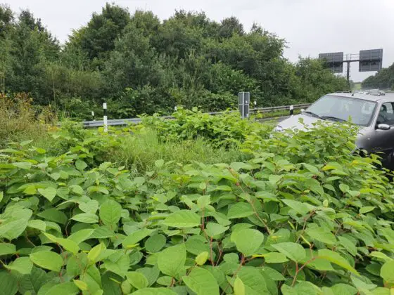 PKW-Unfälle im Autobahnkreuz Osnabrück-Süd enden glimpflich