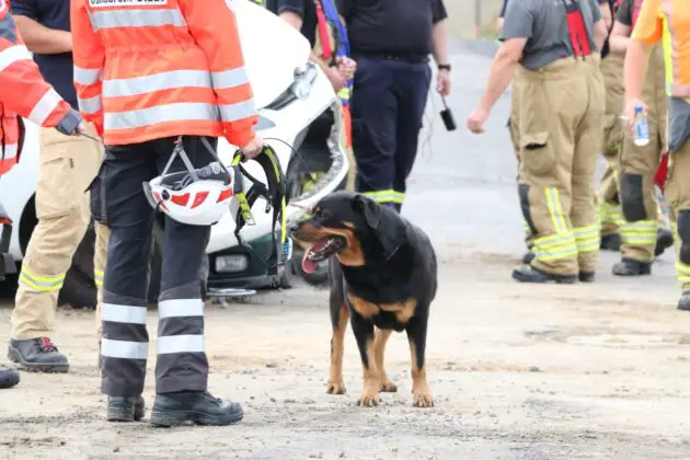 Alarm am Samstagmorgen: Übung von ehrenamtlichem Rettungsdienst und Feuerwehr in Voxtrup