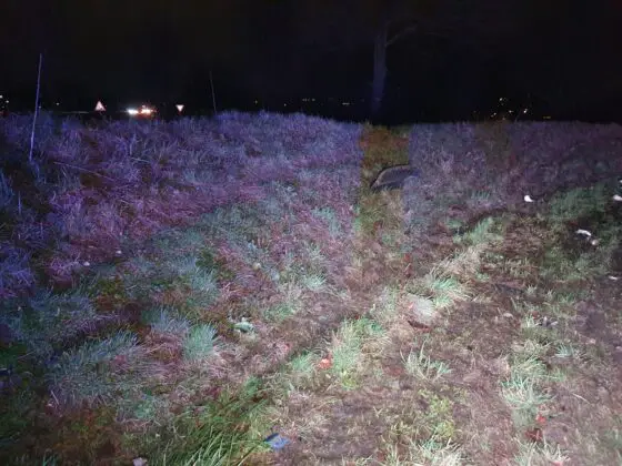 Unfall im Autobahnkreuz Osnabrück-Süd. Stand Fahrer unter Drogeneinfluss?