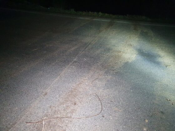 Auto stürzt Abhang an Bundesstraße B51/B65 bei Belm hinunter