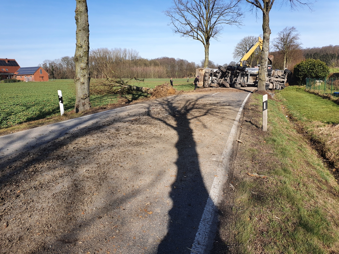 Landstraße in Melle: Sattelzug kollidiert mit Bäumen und kippt um
