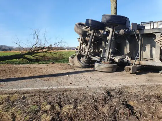 Landstraße in Melle: Sattelzug kollidiert mit Bäumen und kippt um