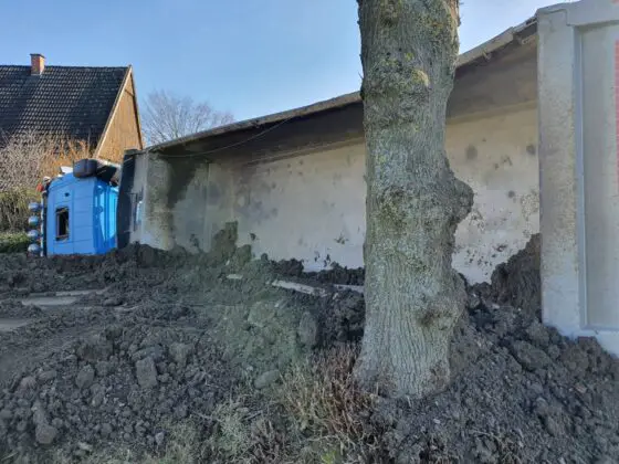Landstraße in Melle: Sattelzug kollidiert mit Bäumen und kippt um