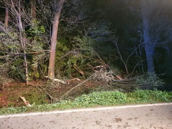 PKW überschlägt sich in Graben in Tecklenburg-Leeden