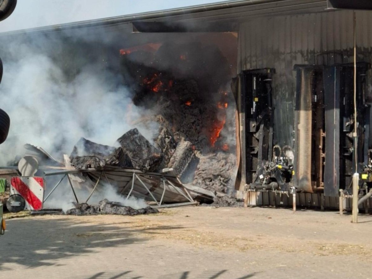 Großbrand auf Pferdehof in Melle – Scheune komplett zerstört Brand auf Pferdehof in Melle