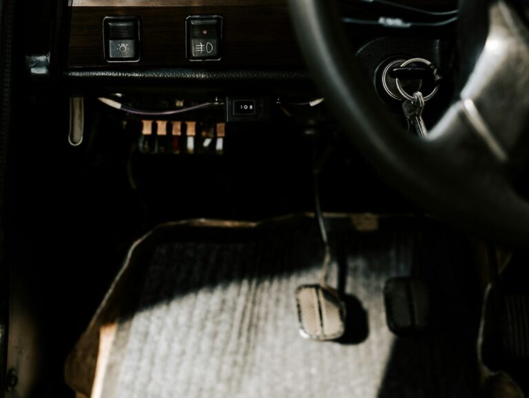 Gaspedal und Bremspedal