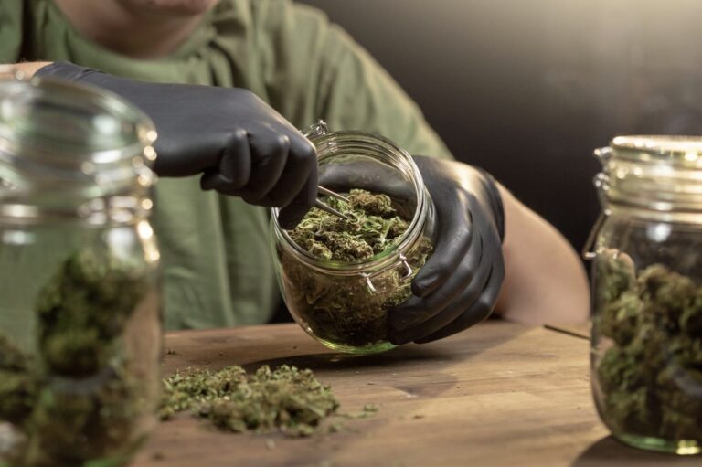 Cannabis ist kein Randthema mehr, sondern Teil gesellschaftlicher Realität / Foto: 24K-Production - stock.adobe.com