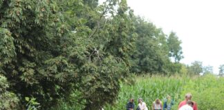 Auch im diesen Jahr findet die Osnabrücker Landpartie wieder statt. / Foto: OLP