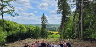 Gruppe vom Osnabrücker Gymnasium "In der Wüste" im "Zukunftswald". / Foto: Milena Ulbricht (Gymnasium „In der Wüste“)