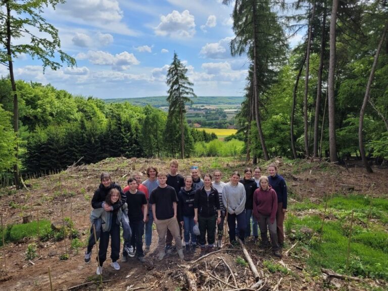 Gruppe vom Osnabrücker Gymnasium "In der Wüste" im "Zukunftswald". / Foto: Milena Ulbricht (Gymnasium „In der Wüste“)