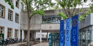 Gymnasium Carolinum (Symbolfoto). / Foto: Marieke Timmermann