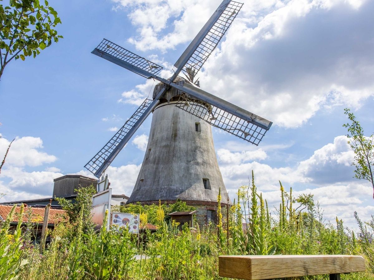 Die Windmühle Lechtingen soll in den kommenden Monaten weiter instand gesetzt sowie neu gestrichen werden. / Foto: Gemeinde Wallenhorst