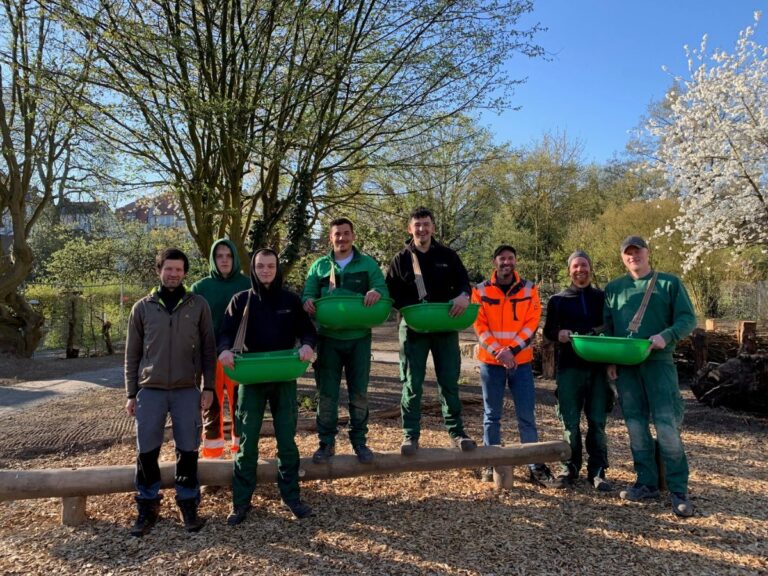 Bei der Einsaat der Osnabrücker Mischung wurden die OSB-Azubis um Gärtnermeister Nick Hohnholz, (2. v.rechts) vom Projektteam der Osnabrücker Biodiversitätsstrategie um Daniel Jeschke (1 v. links), unterstützt. Die Planung und Bauleitung hatte Benedikt Kohn, OSB-Stadtgrün (3. r. rechts) inne.