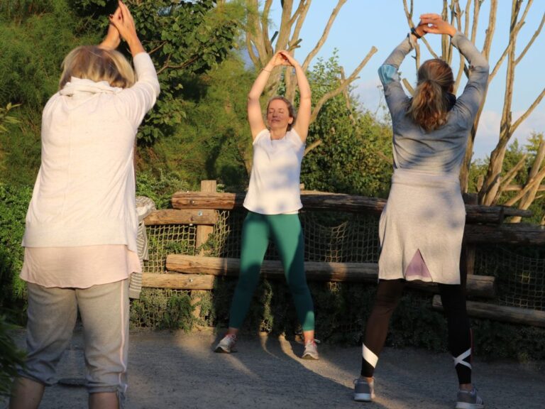 Entspannen in tierischer Umgebung: Die Yoga-Stunde im abendlichen Zoo Osnabrück sorgt für doppelte Erholung – Bewegung trifft auf spannende Einblicke in die Welt der Tiere.