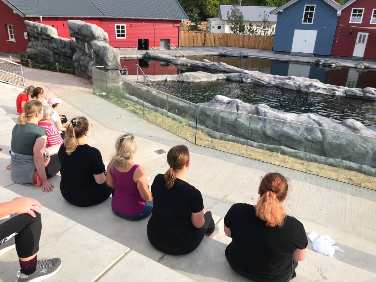 „Ommm“ für die Artenvielfalt: Yoga unter Elefanten im Zoo Osnabrück Entspannen in tierischer Umgebung: Die Yoga-Stunde im abendlichen Zoo Osnabrück sorgt für doppelte Erholung – Bewegung trifft auf spannende Einblicke in die Welt der Tiere.