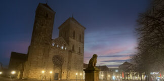 Dom St. Petrus und Löwenpudel in Osnabrück bei Sonnenaufgang