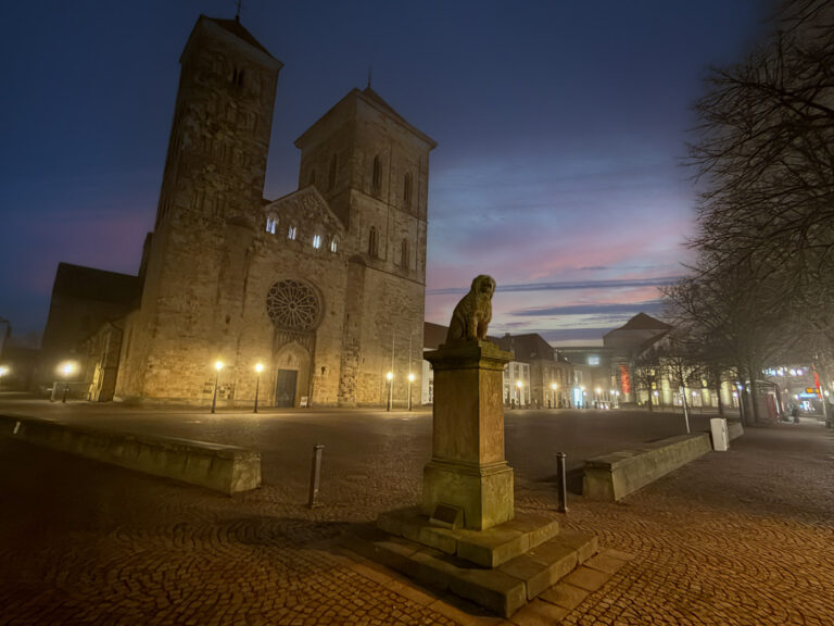 Dom St. Petrus und Löwenpudel in Osnabrück bei Sonnenaufgang