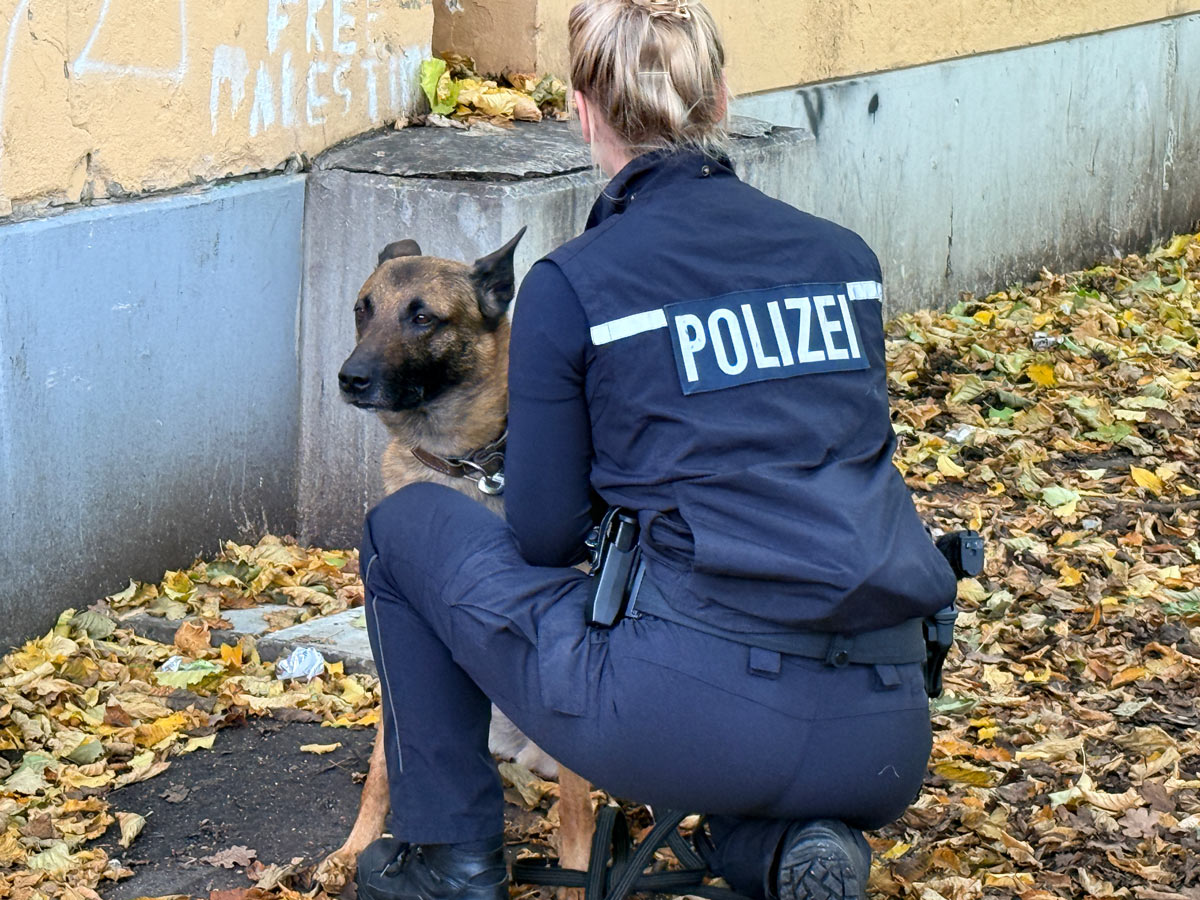 mehrere Drogenspürhunde kamen zum Einsatz