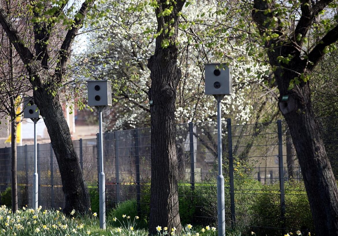 Starenkästen (Archiv)